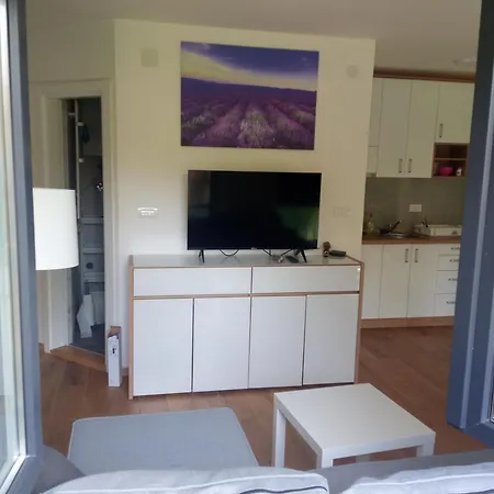 Lavanda Vrnjačka Banja